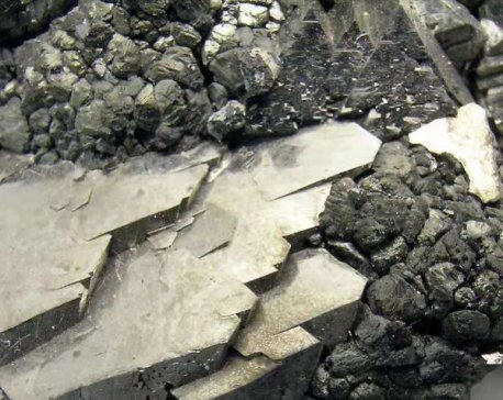 �Ї�11�¾��a�a���h���»�18%