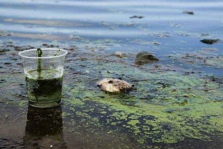 ����h������ͨ���G�T�׻�����I��Ⱦ�|Ŀ�@�� �������꼰����ˮ�w�ʏ����� 