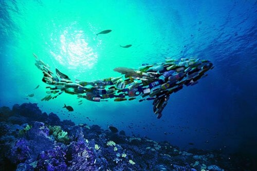 ��˹�����ϡ���˼���Ⱦ��^�ϳ���ȫ���� �K�Y��������