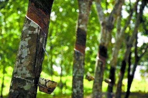 ȫ���ׂ����z�ڙ������������ƽ���