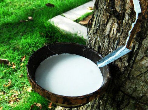 Խ�����z���ڌ��ž�