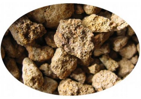 �����L(zh��ng)͡��ϡ���a(ch��n)�I(y��)�_(k��i)��������