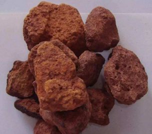 �������µ�Amrun�X���V��ȫ��Ͷ�a�����a2280�f���X���V