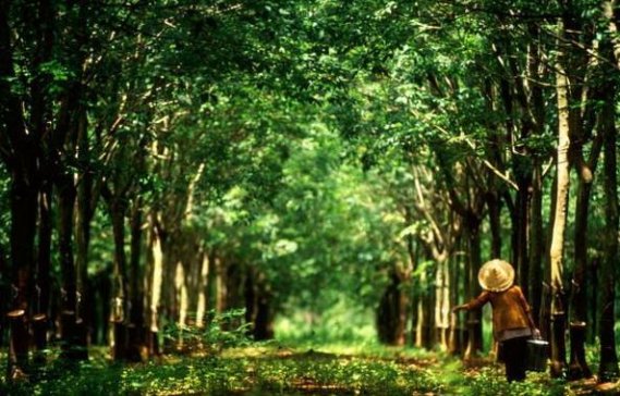 ����ʡ�����z�r�����룩���U ���ṩ�L�U�����_18.73�|Ԫ