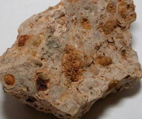 ����̽��һ�����X�V���AӋ�YԴ��1.2�|��