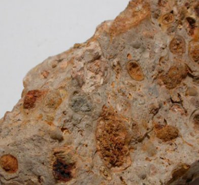 �Z�L�R�� �����Д���ޱ���һ�X���V�\�I