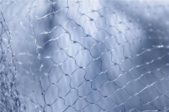 �x��Һ�w���Q����������������