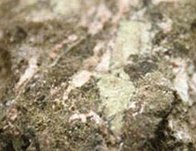 ��Vϡ��2018��ȃ��������L233.59%��1.02�|Ԫ