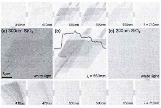 ʯīϩ�ČӔ�(sh��)��α�����