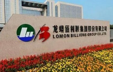 ���������ӹ�˾�@�������a��2260.87�fԪ