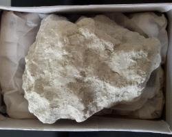 ����Փ�����ð�͹��ʯ�ƄӸ��C����r�I�lչ