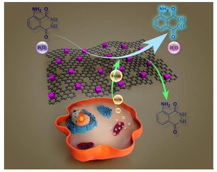 ���бP�c|ʯīϩǰ�ؾC�����x