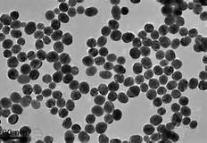 ���_˹������{�����ӡ��ع⡱�[�����ۅ^(q��)