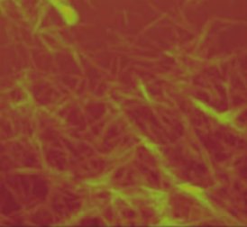 ���w�ٿ�ح�{���w�S��