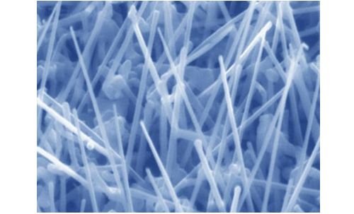 �n�������ԭ���χ��a���̶� ��7.8�f�|�nԪ�аl(f��)80�N�P�I��(zh��n)�ԮaƷ