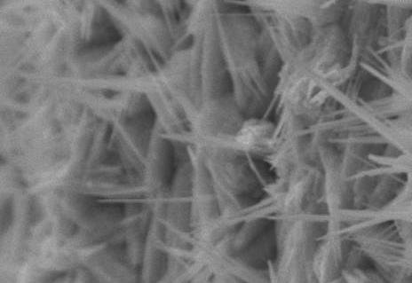 �����u�{�׾����a����늳ظ߶ˮa�ܲ���