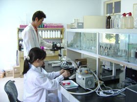 ʯӢ���w΢��ƽ���H���댍������ɽ��^