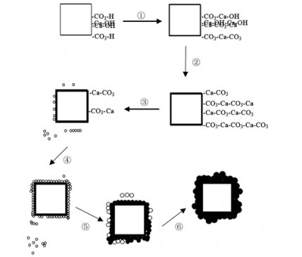 �V����w����{�׻�����g(sh��)������̼���}�еđ�(y��ng)��