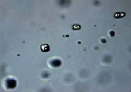 �޳�ʯӢɰ�К�Һ�����w�Ĺ��̻������о�