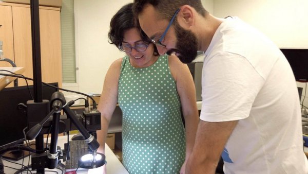 �������о��ˆT����3D��ӡ���g�Ƹ������· ������܇�v���O��