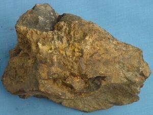 2019��ǰ������늽�����i�ИI(y��)�\(y��n)����r