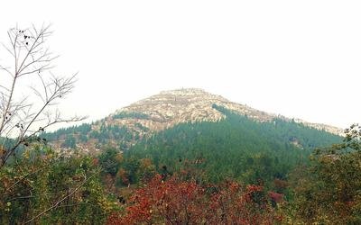 ɽ�|���h�����Ƽ{��������f�����D�Q�ĳ�Чָ��