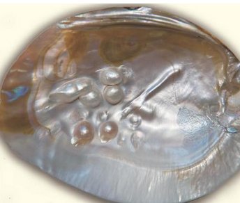 �҇�(gu��)�ƌW(xu��)��ģ�°������Ƴ�����ײ���늳ط��o(h��)����