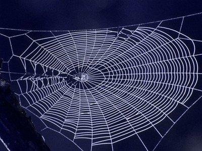 �ҿƌW���Ы@�����g����֩��z