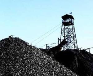 ����˹���ִ���ʯī�V���Ŀ�Mչ