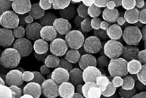 �¼{��Ƭ���ό���Կɿ��� �����ڿɴ����������