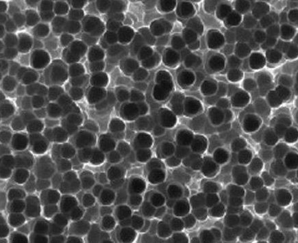 �ձ��ƌW���Ç��F���e���Ƃ��{���w��