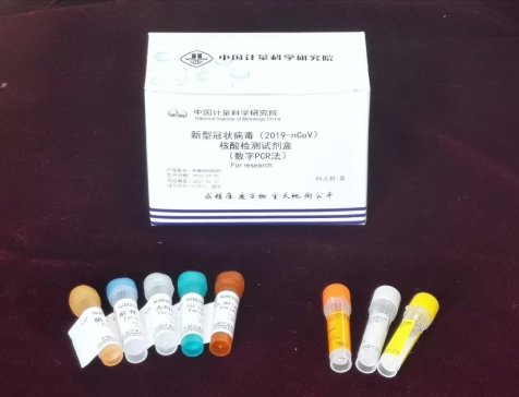 �Ї�Ӌ��Ժ�ɹ��аl�¹ڲ������`������PCR�z�y�����͙z�yԇ����