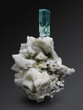 �����u�cϡ���aƷ�|�z���ġ�ʮ�l�e�롱������I�͹��ͮa