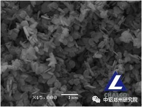 ���X������ɫ�����о�Ժ���޹�˾�_�l��0.5-0.8��m�ā�΢�׼���ķʯ