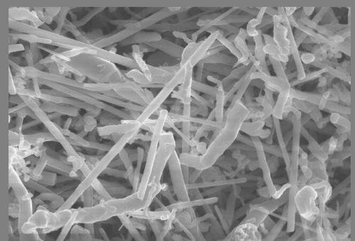 һ���D�˽⡰���֮��������̼���辧�