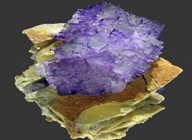 Ξʯ���������y�}�ں��ϫ@�ش�ͻ��