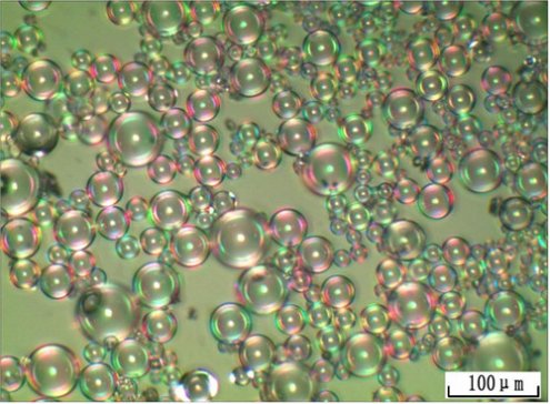 �׷N����΢��Ľ�B������I���Σ�