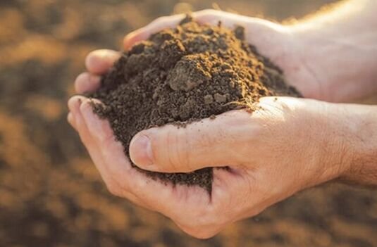 ����܊��ȫ����Q��I(y��)�l(f��)չ���������y�} �Ƅ�(d��ng)����ϡ���a(ch��n)�I(y��)�ӿ�l(f��)չ