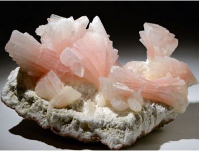 �o�C�V����������δ������o��