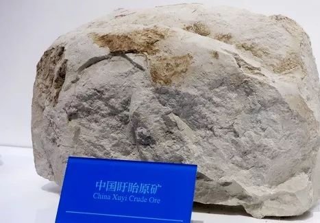 �����۽������a�I(y��)�D��������������I(y��)�Ƽ���(chu��ng)�°l(f��)չ