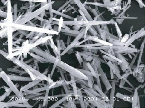 ̼���}������˂��߸�������̼���}���