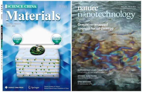 ������n�}�M�����p�|�ߏ��g�{���w�S�ط����Y������