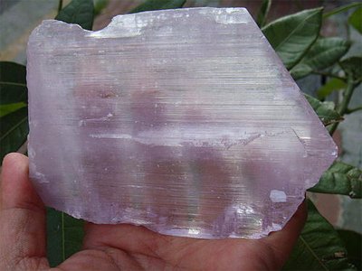 �ɶ��C�����о���һ�׳����䇶���ٵV�C�������¹�ˇ �鴨����YԴ��Ч�_(k��i)�l(f��)�ṩ��Q����