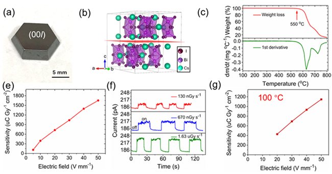 ���B���������Ƴ����ڸߜ��·�(w��n)���������}⁵V�ξ�X�侀̽�y(c��)��