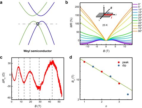 �Ї��ƴ���������?f��)�����⠖��?d��o)�w�о���ȡ���M(j��n)չ