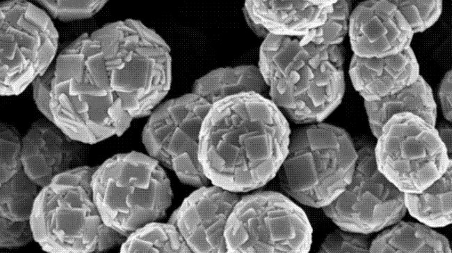 ������⁺��ܚgӭ�᣿