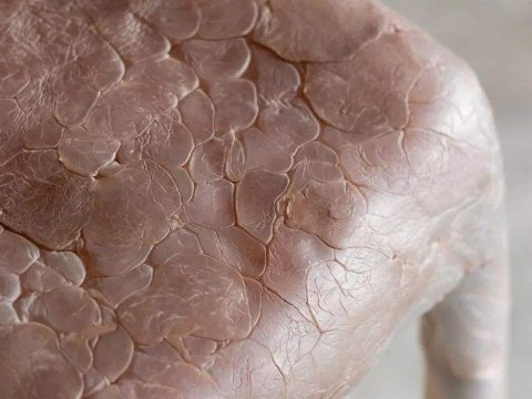 ��ȫ��������ϲ��ϵĳ���(j��)���Ƥ�w��(w��n)��