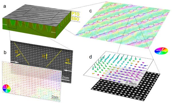 ���������F늲����аl(f��)�F(xi��n)�����԰��Ӿ���