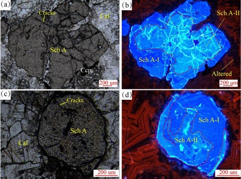 �V�ݵػ����ڰ��u�V�Y�������򻯌W�ɷ��о�����ȡ���Mչ