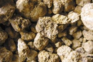 ����(n��i)�pϡ���Ј�ӭ�������족